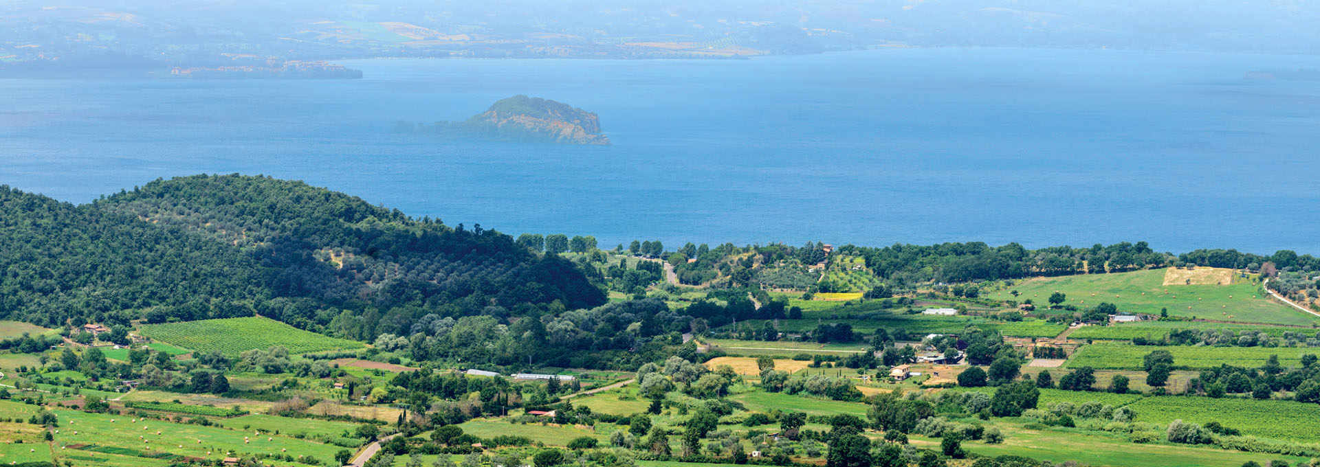 The Yellow Pearls of Lake Bolsena