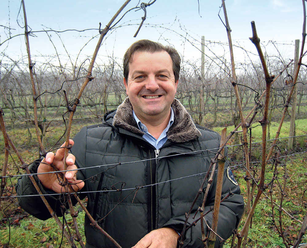 Famoso, The Grape That Italy Forgot