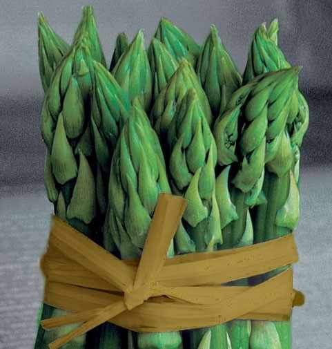 The White and Green Asparagus from Treviso