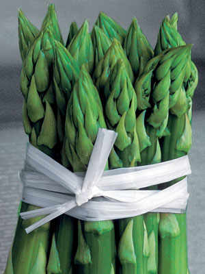 The White and Green Asparagus from Treviso