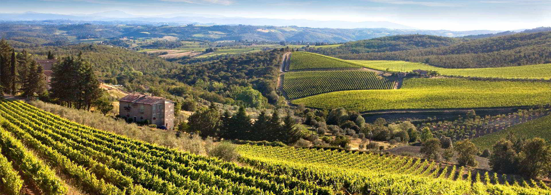 Tuscany: The Future Lies in The Historical Local Vineyards.