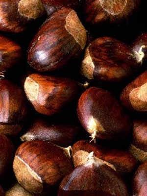 The Chestnut of Cuneo PGI