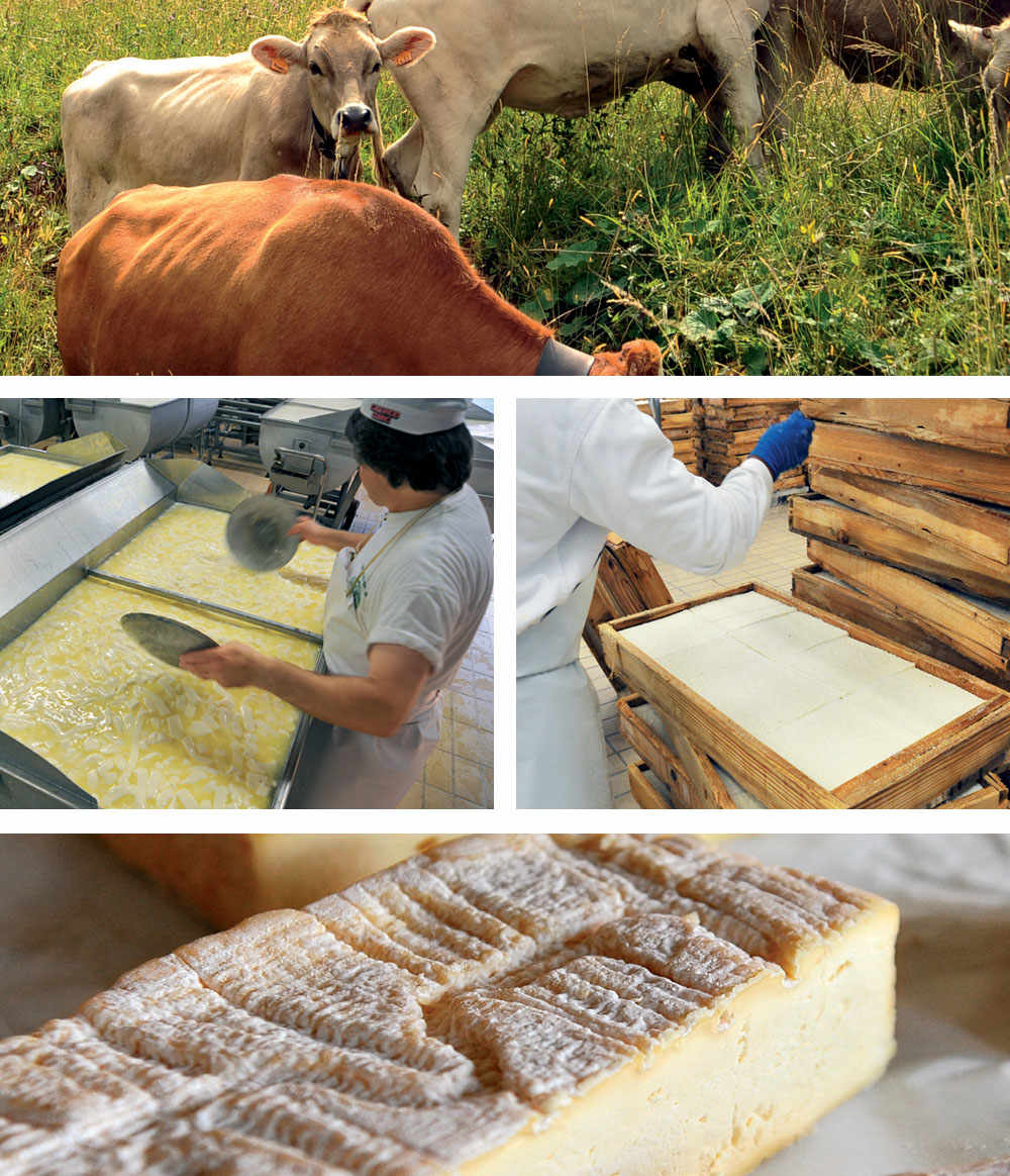 Quartirolo Lombardo Cheese. White. Chalky. Tasty.