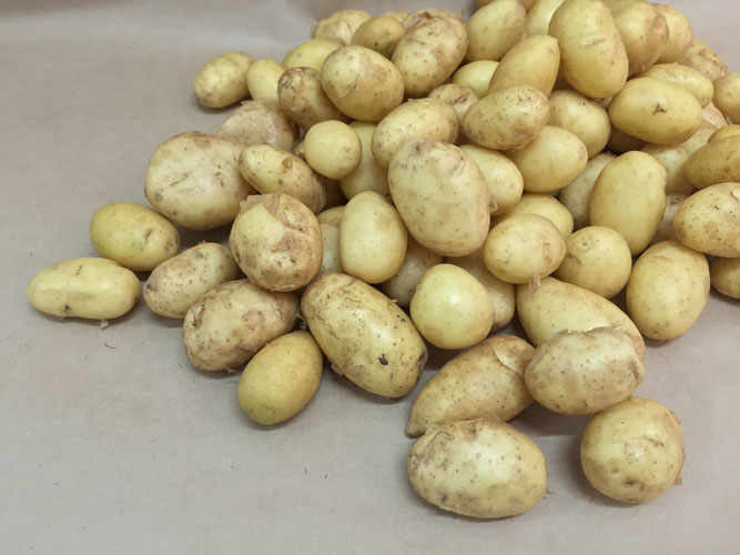 No Meat And All Potatoes. And That’s Just Right.
