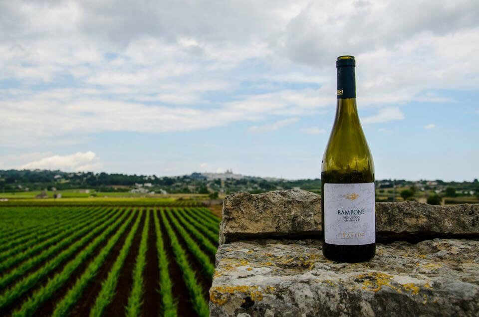 I Pàstini: a Winery in Itria Valley