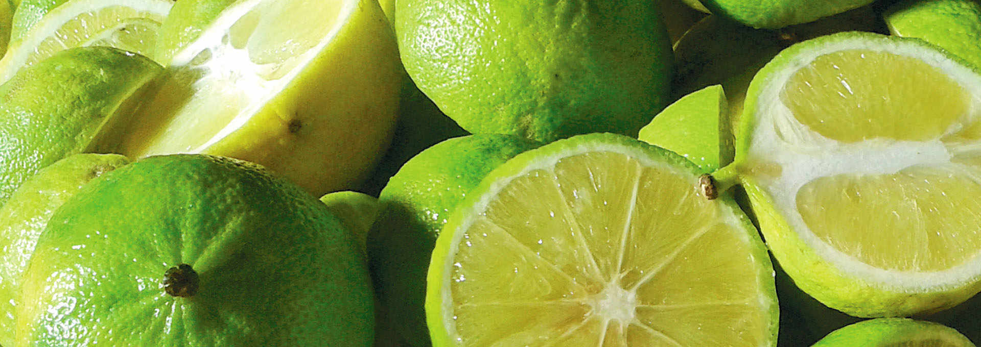 Calabrian Bergamot: the Scent of Tradition