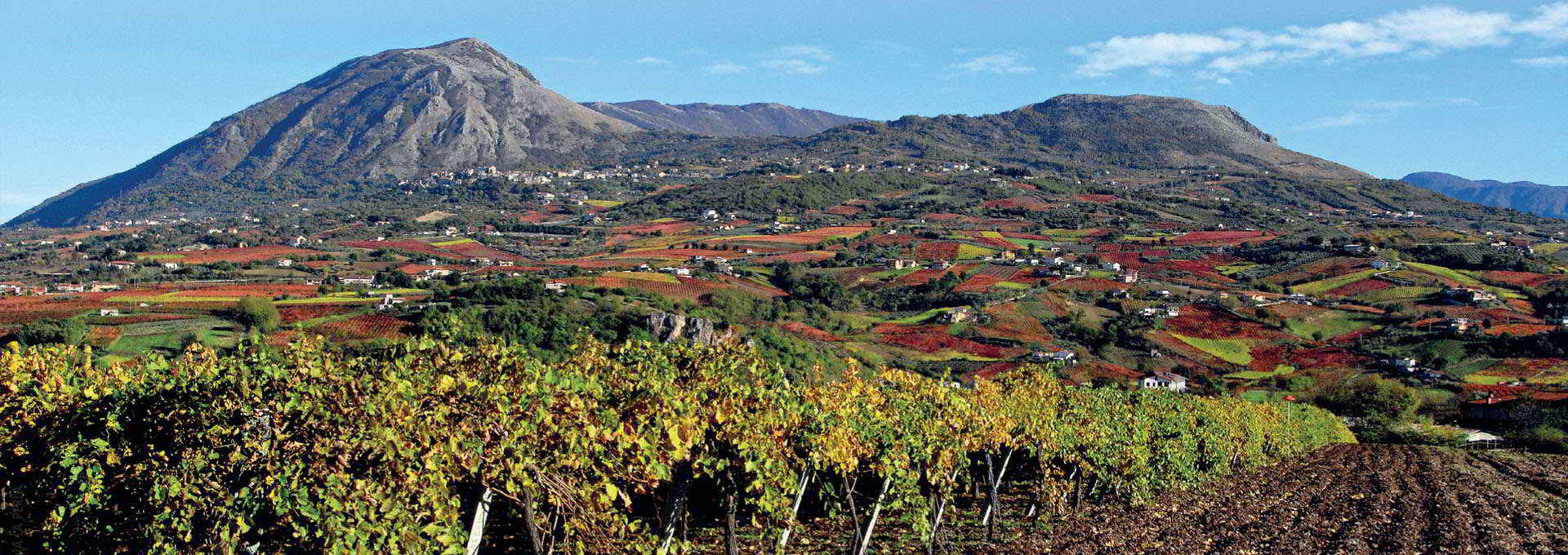 Sannio Wines, conceived of the DNA of Campania.