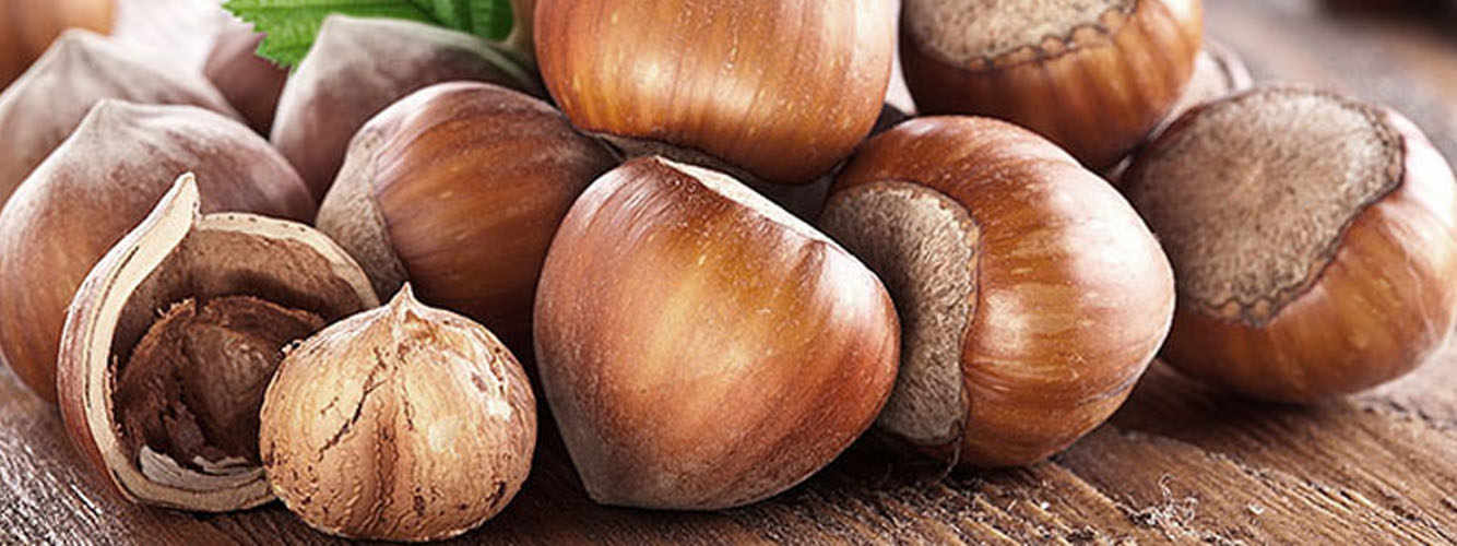 Tonda Gentile Hazelnuts