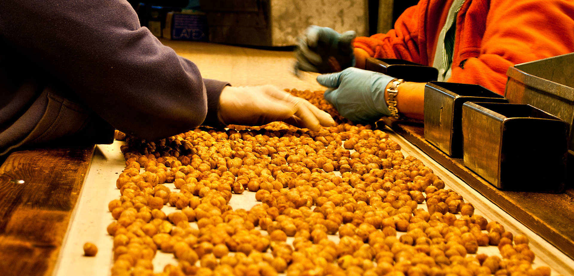 Tuscia’s jewels in the crown: the Viterbo hazelnut.