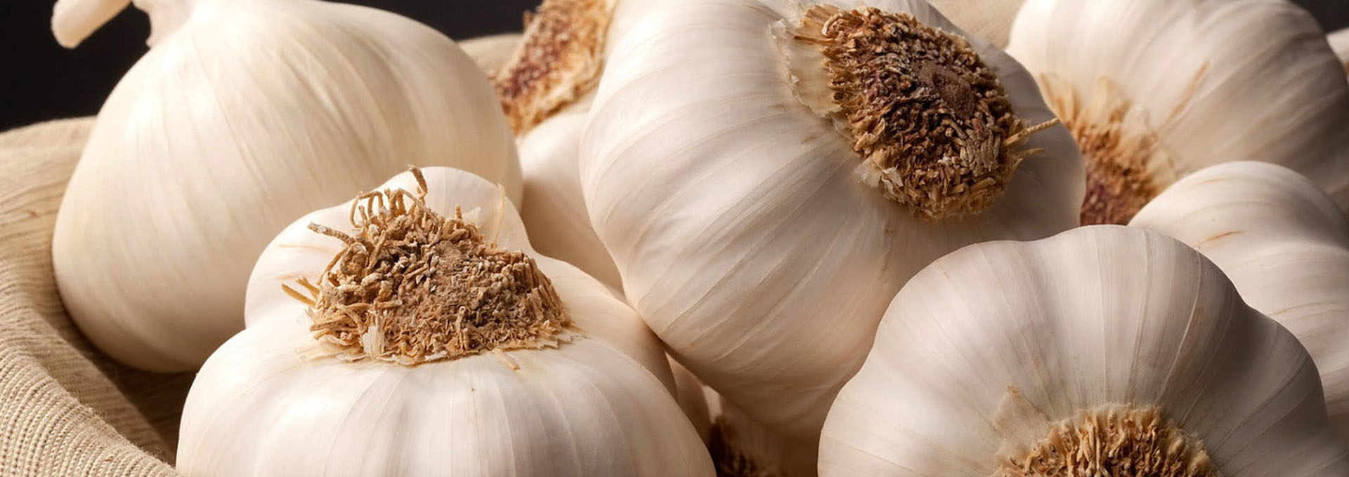The Voghiera Garlic