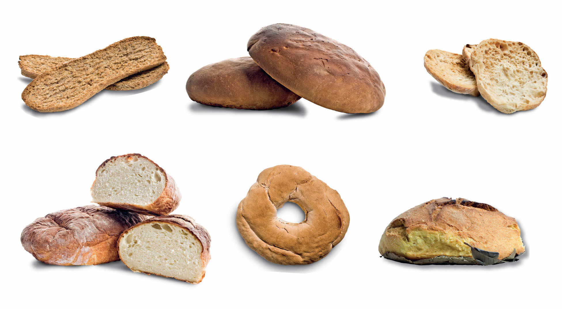 Calabrian Bread: (from top clockwise) biscotto di grano, pane di castagne, frisella, pane brundu,  buccellato, pane di patate.