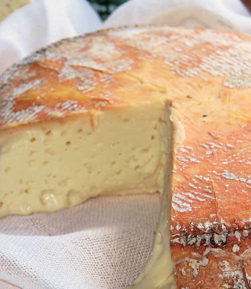 Morlacco del Grappa.