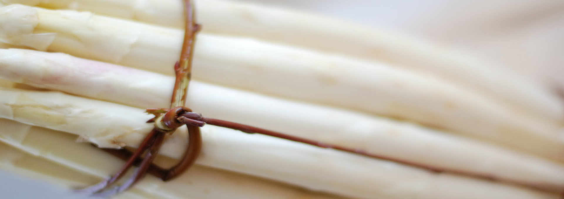 White asparagus of Bassano del Grappa