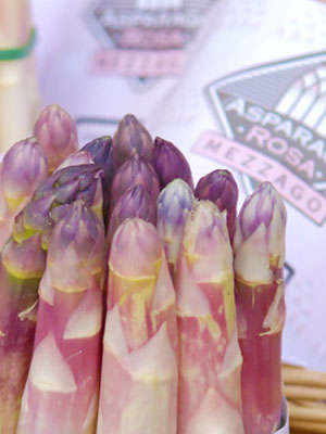 The Pink Asparagus of Mezzago