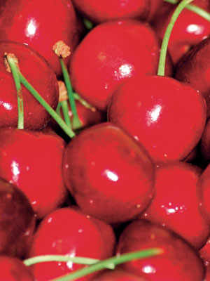 The Marostica Cherry