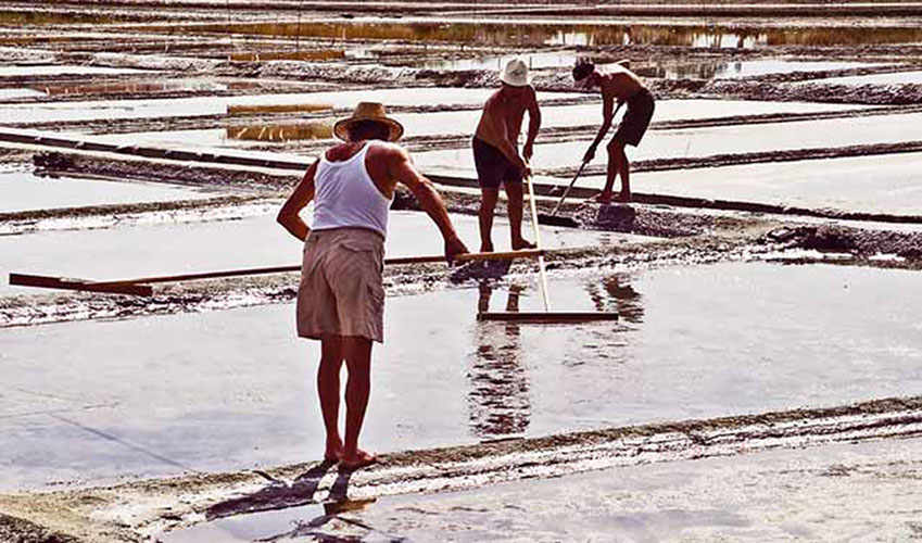 The Po Delta. The salt-pan of Cervia.