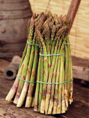 The Asparagus of Altedo