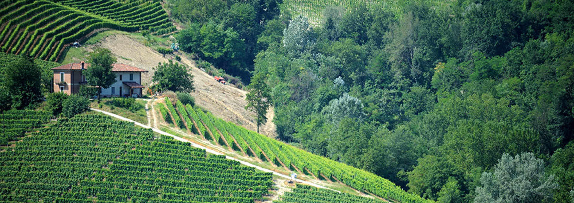 Barbaresco Wine of the Adriano Family