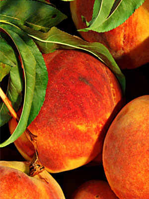 The Peaches of Emilia-Romagna