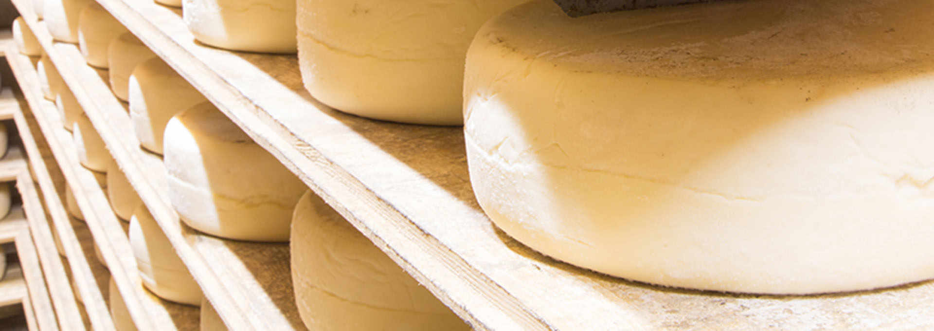 The Butter and Cheese of the Alta Langa