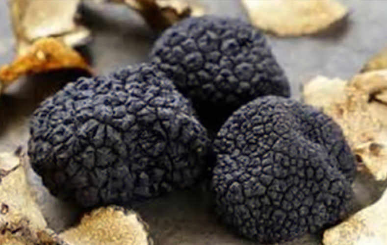 Etna’s truffles.