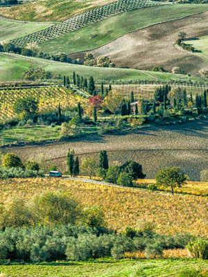 Val di Chiana. Art, Nature and Fine Eating