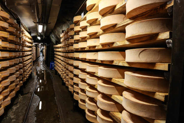 Organic Fontina Cheese of Val d’Ayas
