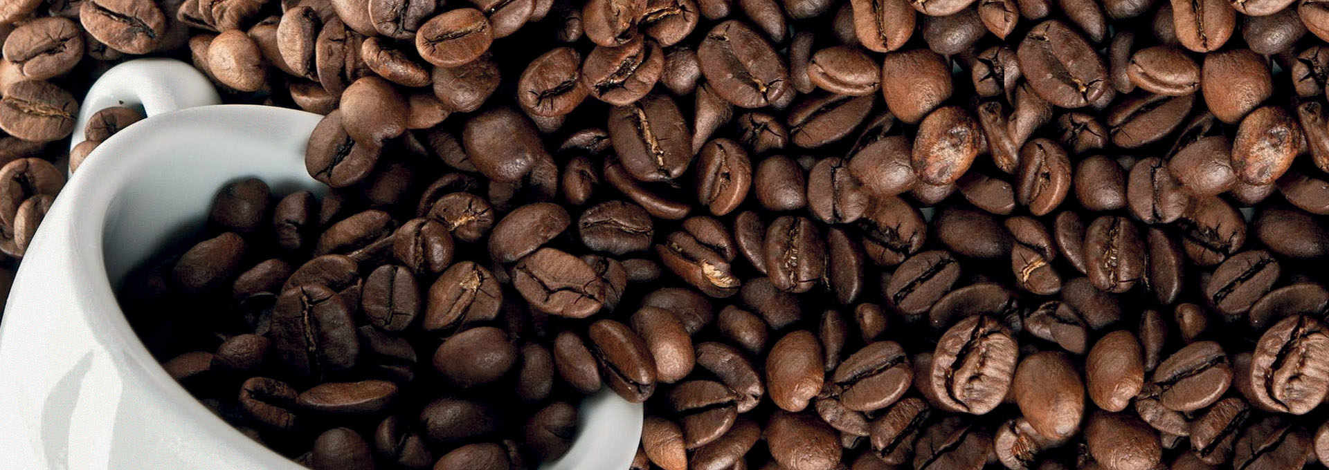Coffee, An Irresistible Dark Potion