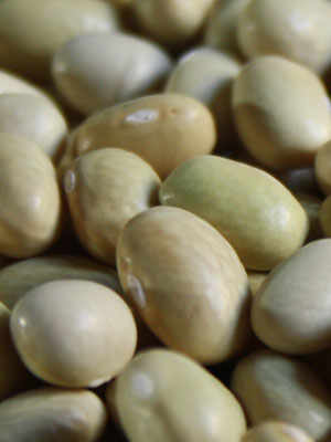 The Zolfino Bean: soft, yet firm to the bite