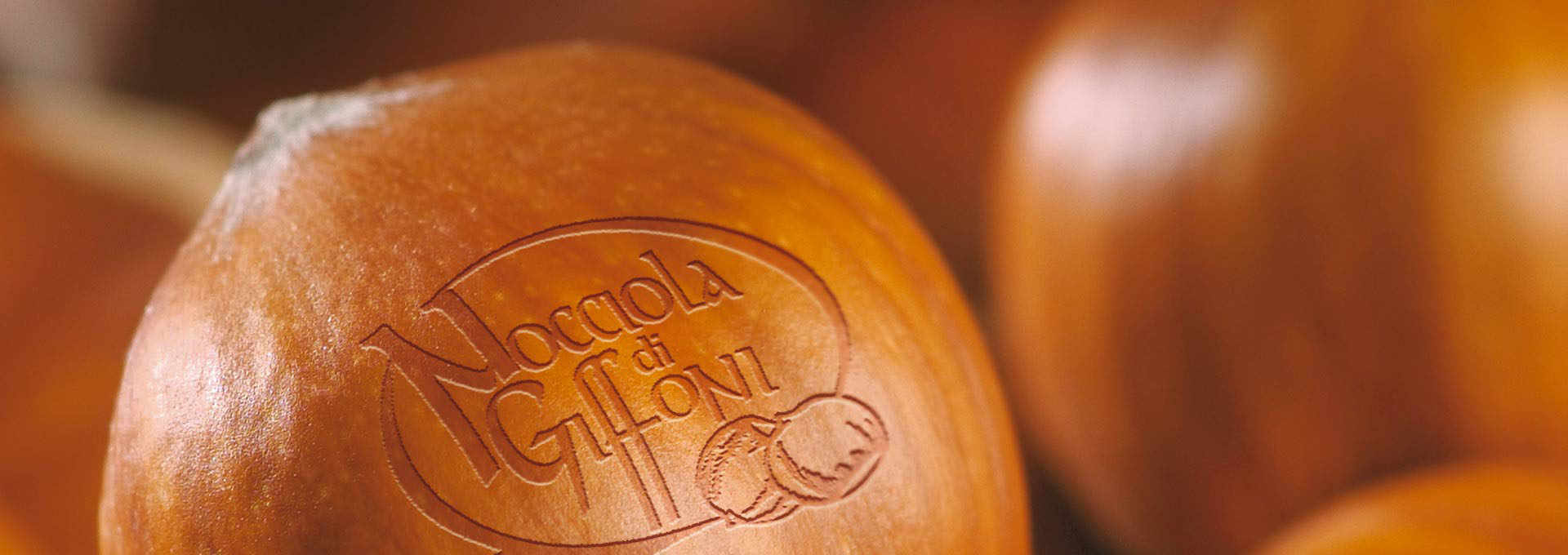 The Giffoni Hazelnut, the quintessence of flavour