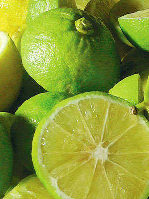Calabrian Bergamot: the Scent of Tradition