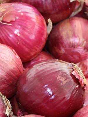 The Novel Onions of Certaldo, Tuscany