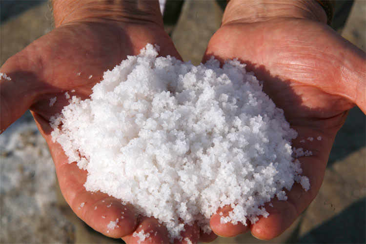 The Sweet Salt of Cervia