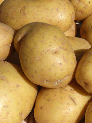 Montescudo Potatoes, small but versatile.