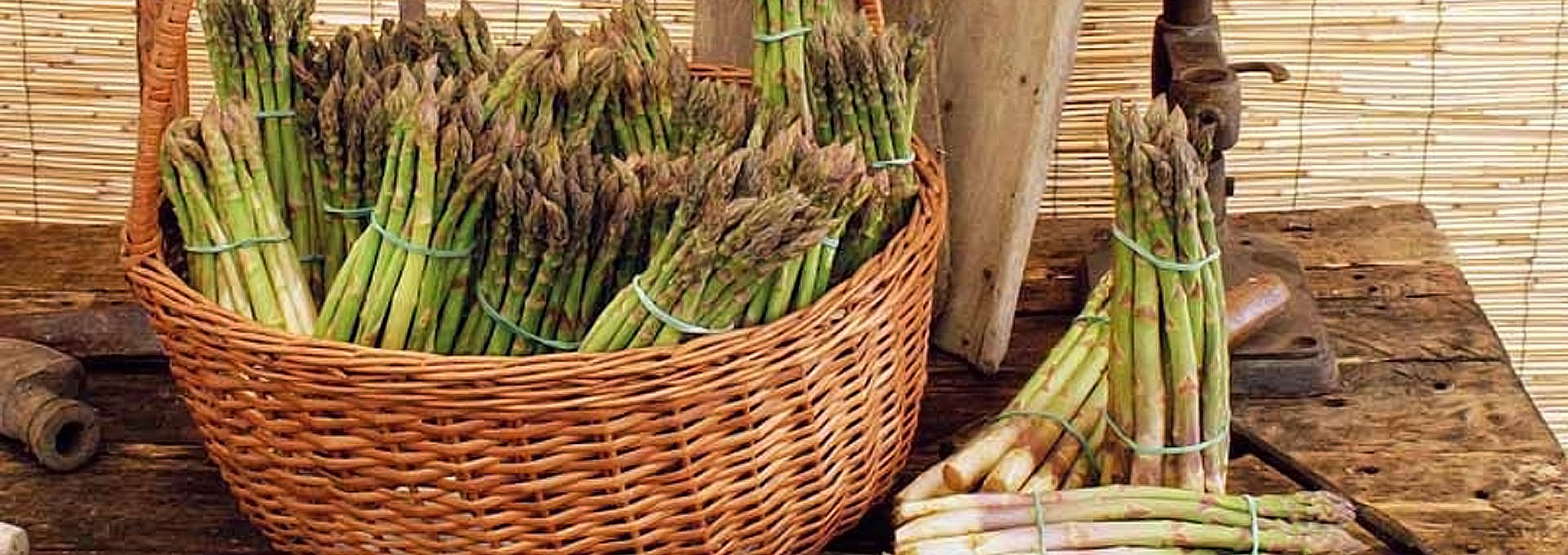 The Asparagus of Altedo