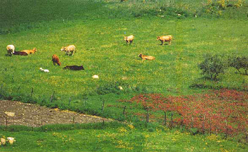 Discovering Sicily’s Monti Sicani