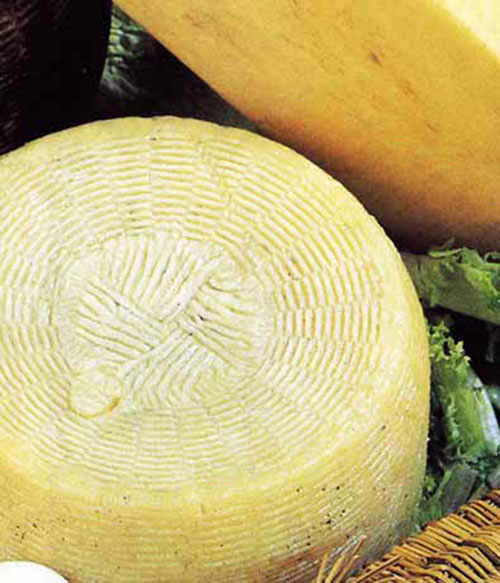 Discovering Sicily’s Monti Sicani