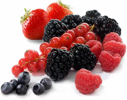 The Precious Fruits of Sant’Orsola