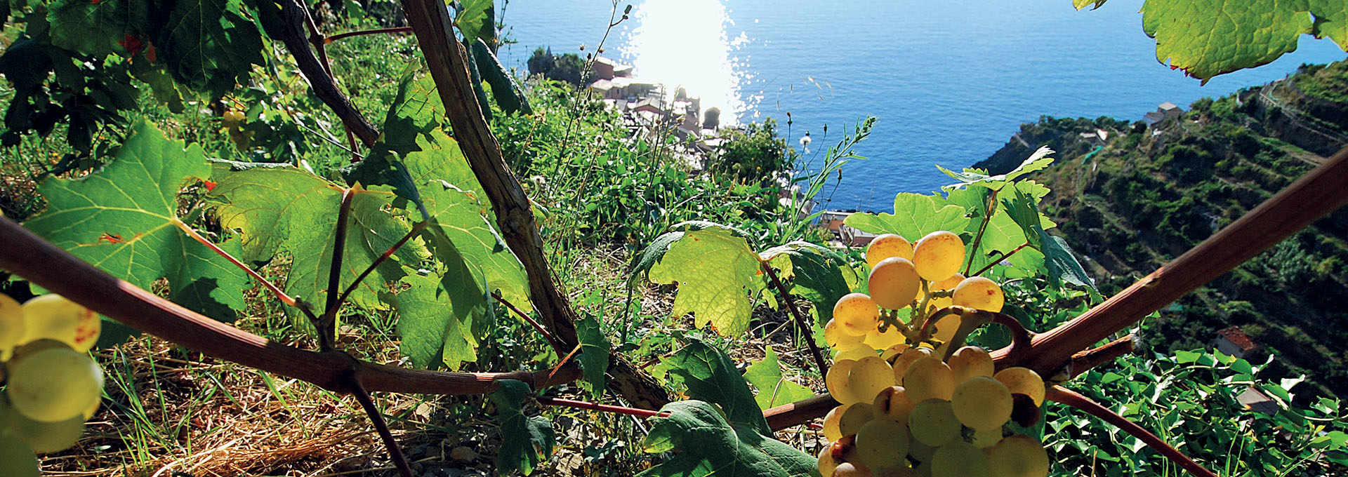  Cinque Terre, a UNESCO World Heritage Site