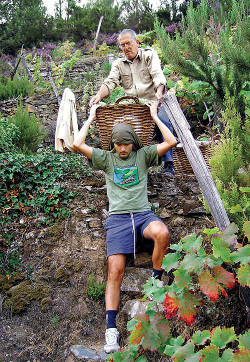 The king of the Cinque Terre wines is Sciacchetrà Passito.