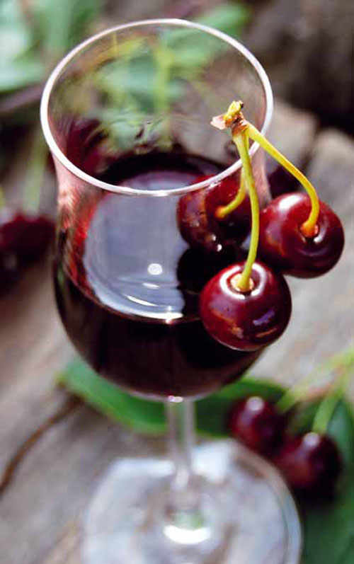The Wild Cherry Wine of Marche, Visciolata.