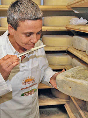 The Butter and Cheese of the Alta Langa