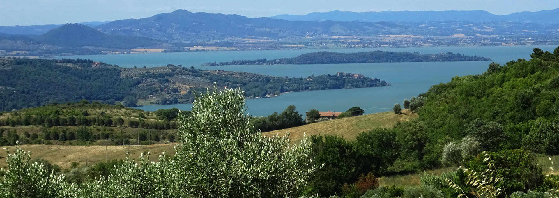 The Umbria PDO: Colli del Trasimeno and Colli Orvietani