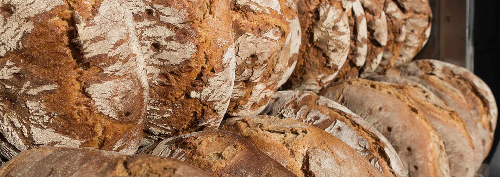 The Tuscan Bread. More Than Just A Loaf